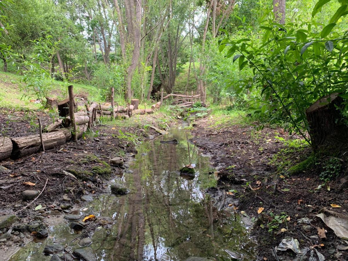 קמפינה Casa Rurala Cu Livada Lavandra מראה חיצוני תמונה