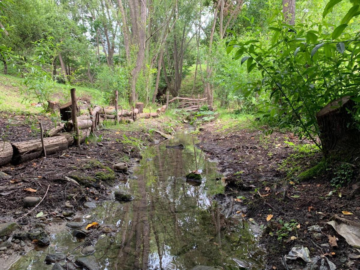 הוילה קמפינה Casa Rustica Lavandra מראה חיצוני תמונה