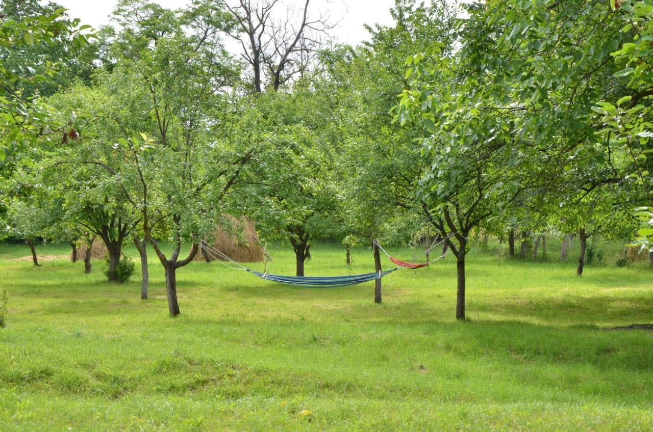 קמפינה Casa Rurala Cu Livada Lavandra מראה חיצוני תמונה