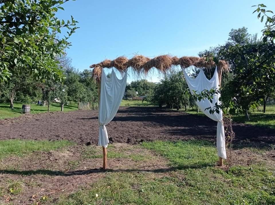 קמפינה Casa Rurala Cu Livada Lavandra מראה חיצוני תמונה